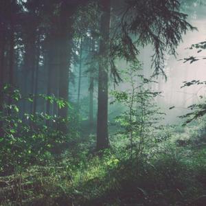 妈妈的干砲性教育【中文字幕】
